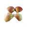 Professional Heavy Duty Amish Johnny Apple Pineapple Quinces Corer Slicer Peeler Machine Equipment