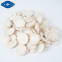 freeze dried mushroom