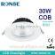 Ronse lighting 30W led cob down lighting for shops, homes and offices(RS-G801)