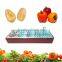 450W Hydroponic LED Plant Garden Light with Hanging Kit