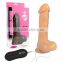 High Quality TPE Material With 10 Mode Vibrating 8 Inch Carved Dildo Sex Toys for Women