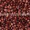 VIETNAM ROBUSTA COFFEE BEANS WITH BEST PRICE