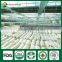 Shiitake Mushrooms 1kg,Wild Shiitake Mushrooms,Shiitake Mushroom Plugs