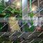 Galvanizing Line
