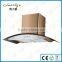 Super quality hot sale custom design top level thin range hood