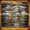 price for sale frozen pilchard