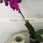 Professional factory high quality daily products custom labels self-adhesive stickers printing