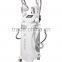 Reduce Cellulite BD08 New Slimming Cryo Fat Freezing Cryolipolysis Slimming Machine Fat Reduce