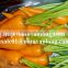 Export Fresh Carrot With High Quality And Competitive Price 2016