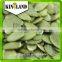 Edible ds shine skin pumpkin kernel (AA) price from Shandong Kingland