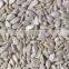 Sunflower Kernels Reasonable Prices Dried Sunflower Seeds Peeled Sunflower Seeds