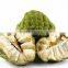 GMP Natural High Quality Graviola Fruit Extract Powder/Soursop Extract/Guanabana Extract