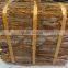 VIETNAM PRESSED CASSIA