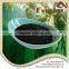 Natural Ascophyllum Nodosum Seaweed Extract Shiny Flake, 100% Water Solubility