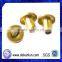 Custom Half-hollow Round Head Brass Rivet