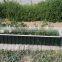 Corrugated color steel panel raised garden bed