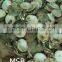 American Mississippi River Shell Pearl Nucleus for Pearl Culturing