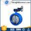 Best Sale Worm Gear Double Flange Butterfly Valve D341X-16