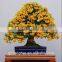 wholesale artificial orange bonsai tree for home decoration