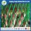 100% Virgin HDPE SPORTnet