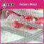 Hot selling rhinestone trimming banging with metal chain decoration for sandals/caps/garments/shoes