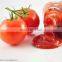 Concentrated Tomato Paste making machine/Tomato Paste Production Line