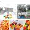 GENYOND Fully Automatic candy making Jelly candy gummy machine production line