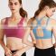 Wholesale Custom Logo High Support Shockproof Sports Gym Fitness Bra Top Cross Back Strappy Yoga Workout Training Wear For Women