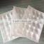 white color lightweight PE strawberry foam tray