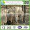 8/15/50 hot dipped galvanized field wire mesh