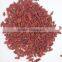 Ningxia Goji Berry