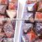 Orgone Pyramid : Wholesale Orgonite Pyramid Shaped and Supplier of reiki product India