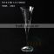 glass goblet for red wine/champagne