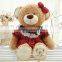 cute soft plush teddy bear