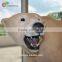 Animatronic Animal Plush Polar Bear