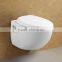 Wall Mounted Soft Closing Seat Cover WC Toilet