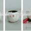 Cute Design Fashion White Color Resin Stainless Steel Plant Pot