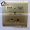  european Power Supply usb wall socket 250V with 2.1A USB Charger Ports