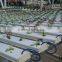 Hydroponic NFT Growing System Greenhouse