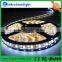 CE RoHS approved trade assurance RGB christmas decorative LED pixel light tape