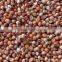 Organic Sorghum/Jwar