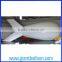 Custom Inflatable Blimp