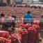 Chinese lowest price fresh red onion