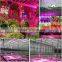 Newest Greenhouse Grow Led Lights 72w / 120w / 270w / 450w, Led Grow Light