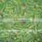 CHINA IQF green bean cut