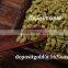 pumpkin seeds kernel shine skin Grade AA