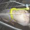 Jiangs Insemination Frame For Pig A.I.Yellow Color