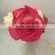 Fresh cut flowers rose flower for decoration