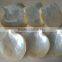 Wholesale polished white yellow mother of pearl raw shells