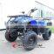 250cc EEC Approved Adult Cheap Dune Buggy (AT2503)